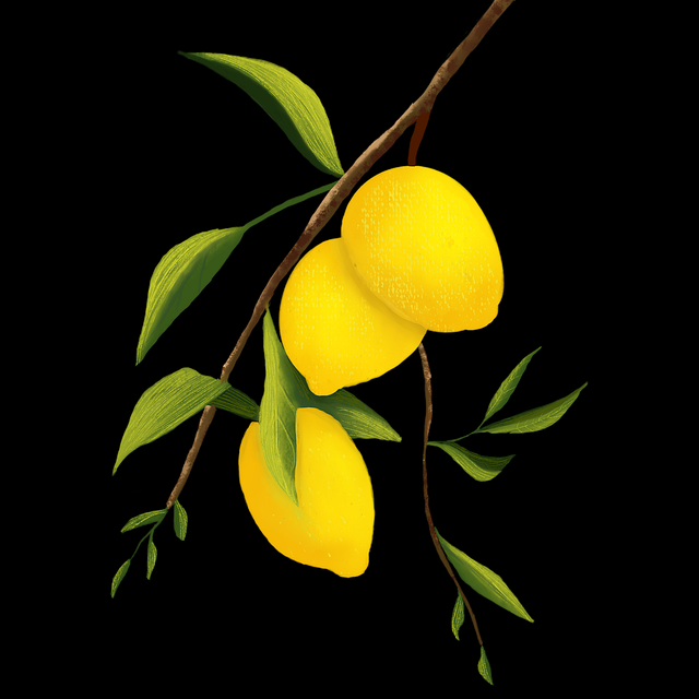 官方公开91在线版本迭代实战解析，专家级秘籍